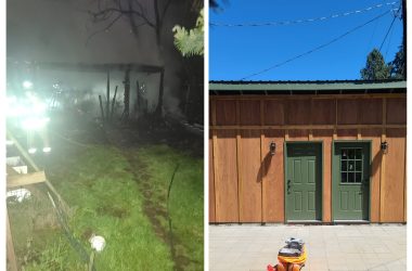 20260216_064716-COLLAGE